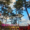 도미노피자 상암점 | 상암 평화의공원 주차장 월드컵공원 텐트 피크닉