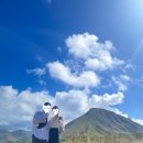 성룡농장 | 2편) - 오아후 섬투어(한반도지도마을, 돌파인애플농장, 중국인모자섬 등), 갈릭버터쉬림프, 야드하우스...