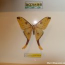 나비공원1(자연교육센터) 이미지