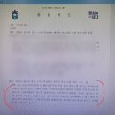 꾸이꾸이맛보쌈 | [29주차]본격적인 만삭체험 시작, 사람 만나서 도파민 충전, 흑백요리사 챙겨보기, 소박한 크리스마스...