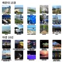 해운대로 이미지