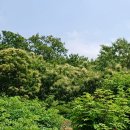 무지개삼성약국 이미지