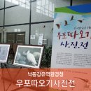 우포따오기 사진전 이미지