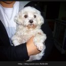 미륵산민박 이미지