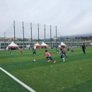 서귀포축구공원 2 이미지