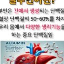 목동건강약국
