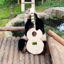 파운데이 - 북구 용봉택지로 57 | 파운데이