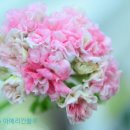 블루24