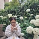 [2025 파리] 4일차 : 개선문, 샹젤리제 라뒤레, 마레지구 레바논 음식 맛집, 메르시 기념품 쇼핑