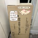 그린앳홈 | 🏠 주방 공간 200% 활용! 슈렉앳홈 맞춤형 시스템행거 내돈내산 설치 후기