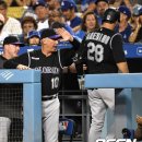 버드아레나 이미지