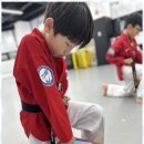 배움 태권도장 이미지