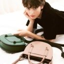 라비 앤 로즈 이미지