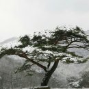 외솔목장 이미지