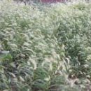 광명노인요양센터 이미지