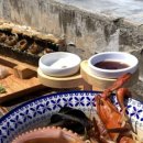 수줍은 언니네 이미지