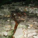 천연약수터 이미지