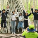 자작나무숲정상 이미지