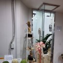 머슬팜짐 이미지