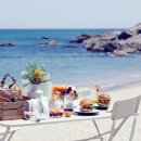 펫플러스(Pet Plus) 이미지