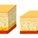 오페라성형외과의원 이미지