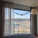 투링안경 | 인천 네스트호텔 디럭스 마운틴뷰 수영장 호캉스 후기