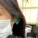 진성카클리닉 | 의정부미용실 추천! 블랙빼기+컬러 맛집 하넬헤어