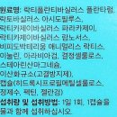애니멀바이오케어 | 갓성비 코스트코 시그니처 &#39;커클랜드 유산균&#39;추천 내돈내산 (100억 CFU, 다양한 복합균주와...