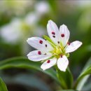 마지기로 이미지