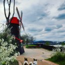 (주)오케이약품 이미지