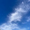 (주)아성다이소 부산국제시장점 | 일상육아일기384 - 399일] 7월 _2/2