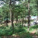 가래칠기 이미지