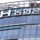코끼리인력공사 이미지
