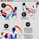정도태권도체육관 이미지