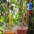 쥬스바(Juice Bar)