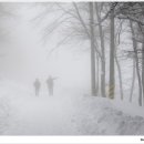 동호목장 이미지