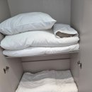클린아일랜드 | [내돈내산] 태안 아일랜드 리솜 클린형 18평 오션뷰 숙박 후기, 야경 미쳤다... 가족여행 숙소 추천!