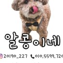 고르다 수제간식 이미지