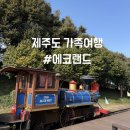 제주도건강랜드 | 제주도 가족여행 에코랜드테마파크 재방문후기