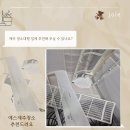 예스제주청소 [제주 청소대행]