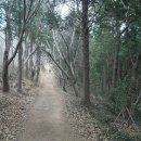 삼화마을 이미지