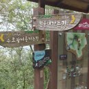 분산스카이투어 이미지