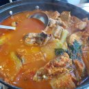 남해바다장어 이미지