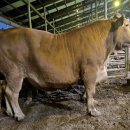 알곡한우농장 이미지