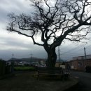 중동정미소 이미지