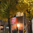 365문화전당약국 | 광주 동명동 이자카야 맷도리 술집 솔직후기