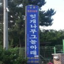 만리포헛개나무농장 이미지