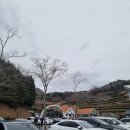 보성다원녹차 판매장 이미지