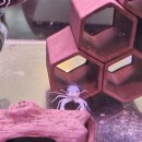 세븐일레븐 원주태장현충로점 | 원주 아이랑 수족관 실내데이트 태장동카페 소다아쿠아