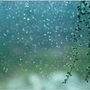 빗소리 이미지